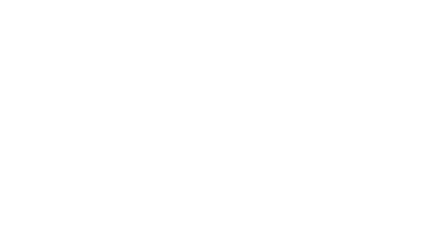 Logo Asset